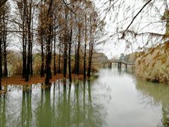 -梁鸿国家湿地公园