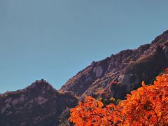 -北京凤凰岭