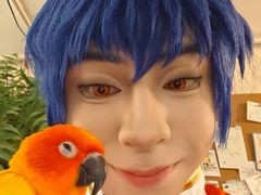 -吉丁鸟咖·异宠·寄养