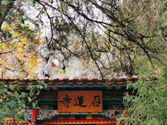 -丽江束河古镇-石莲古寺