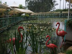 -三圣花乡旅游区