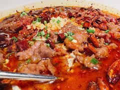 水煮牛肉-青年公社烤鸭(青年路店)