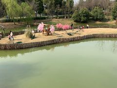 -无锡动物园·太湖欢乐园