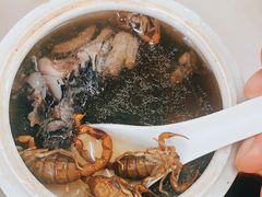 蝎子党参乌鸡汤-国英炖品店(甲子路店)