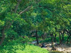 -杏花樓(大世界店)