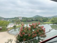 -上海佘山世茂艾美酒店