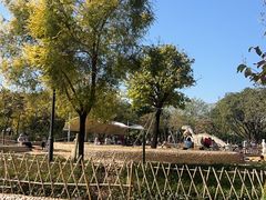 -海珠儿童公园