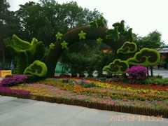 android_upload_pic-紫竹院公园冰场