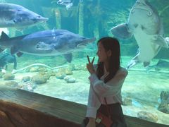 -华夏文旅海洋公园