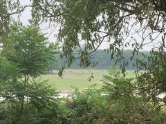 -北京麋鹿生态实验中心