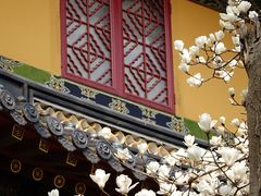 -普陀山风景名胜区-法雨禅寺