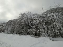 -太子岭滑雪场