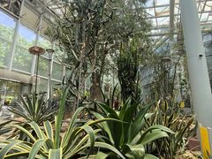 -郑州植物园