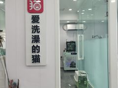 -爱洗澡的猫(望京店)