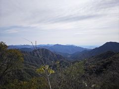 -大岭沟猕猴桃谷风景区