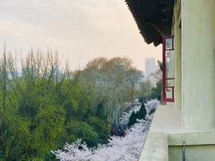 -武汉大学-樱园