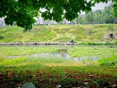 -两河城市森林公园