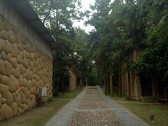 -象山森林公园