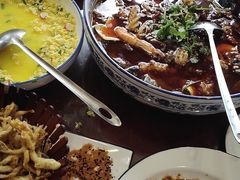-邵年鸽(杨庄店)