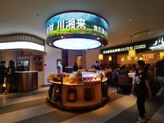 -新辣宴·湖南家常菜·商务聚餐(中粮创芯店)