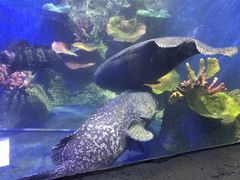 -泉州海丝野生动物世界