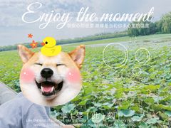 -颐和园