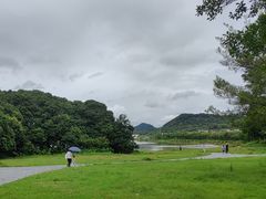 -风云岭森林公园
