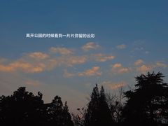 -上海滨江森林公园