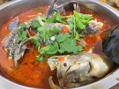 -风鑫铃罗非鱼(道沟店)