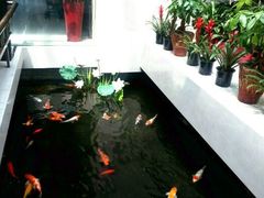 android_upload_pic-听松楼·花园酒店·自助餐厅(红梅公园店)