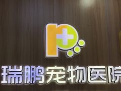 -瑞鹏宠物医院·宠保定点·心脏科·内科(御桥分院)