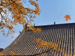 -金堂县云顶石城风景区