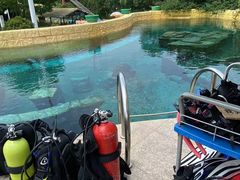 -上海玛雅海滩水公园