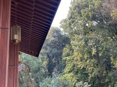 -杭州花家山庄