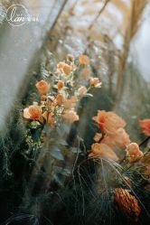 -蘭club婚礼策划