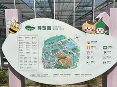 -苏州太湖西山岛开心农场