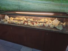 -吉隆坡雀鸟公园