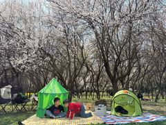 -蜀冈西峰生态公园