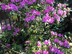 -阳光山水江湖菜馆(西山龙门店)