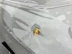 -跃通XPEL超级旗舰店(浦东店)