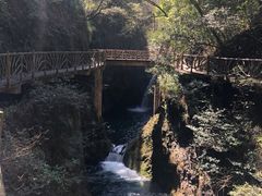 -永泰中国云顶