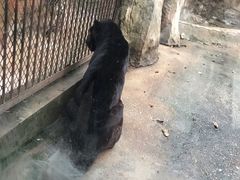-南昌动物园