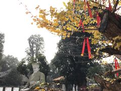 -郫都区农科村景区
