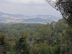 -火炉山森林公园