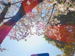 -永乐路-路侧停车场