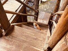 -田德能咖啡博物馆