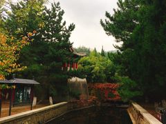 -石岛赤山风景区