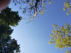 -花好悦园(瀛洲店)