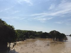 -洞里萨湖