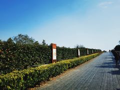 -树山生态村